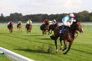 hORSE RACE