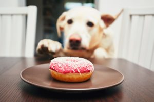 How I Beat the B2B Sales CRM